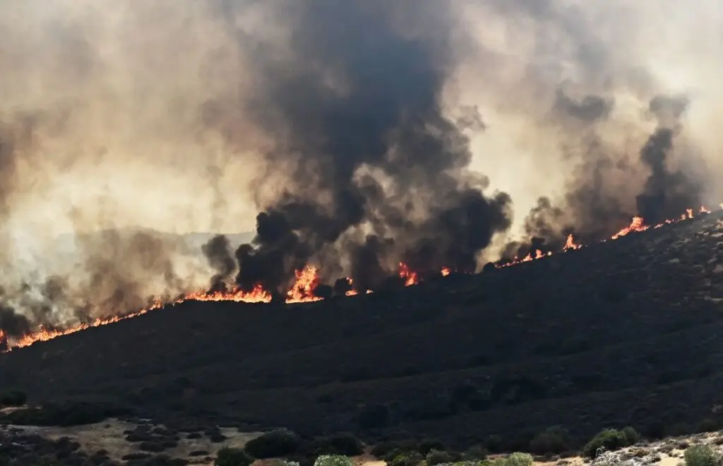 Φωτιά τώρα στην Αθήνα: Ενημέρωση για την κατάσταση