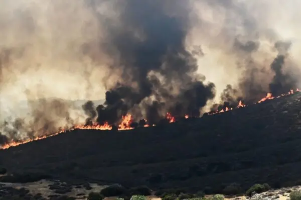 Φωτιά τώρα στην Αθήνα: Ενημέρωση για την κατάσταση