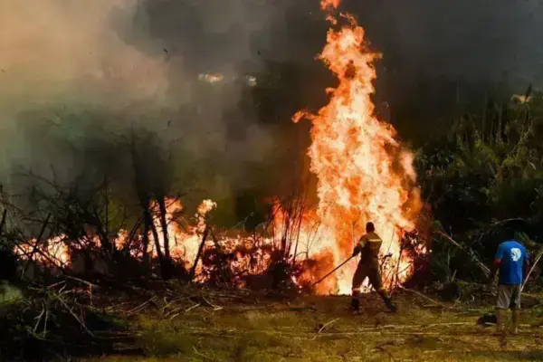 Πυρκαγιά Τώρα: Το Άμεσο Πρόβλημα και οι Επιπτώσεις του