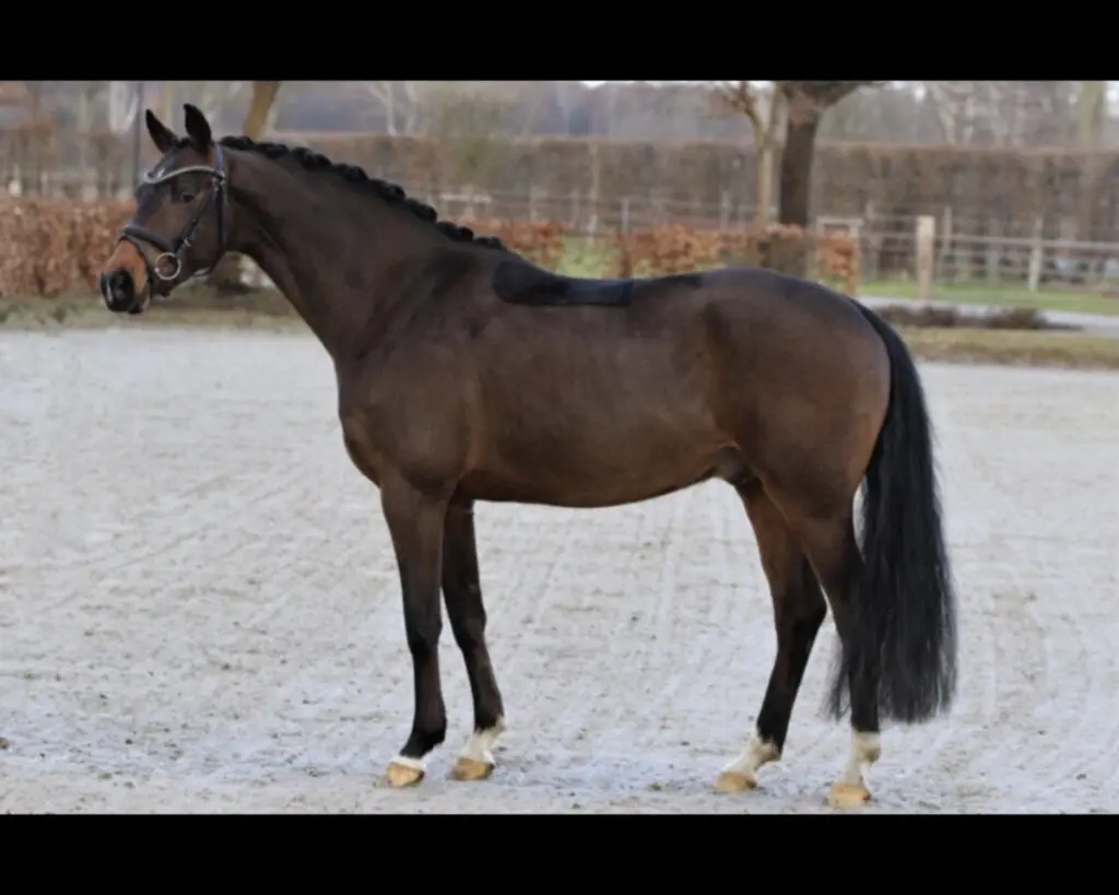 Η Σημασία του Τελικού Προορισμού στις Σύγχρονες Ταινίες