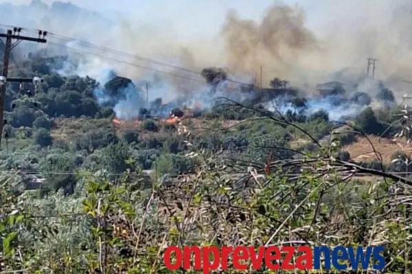 Φωτιά Ιωάννινα: Καταστάσεις και Επιπτώσεις
