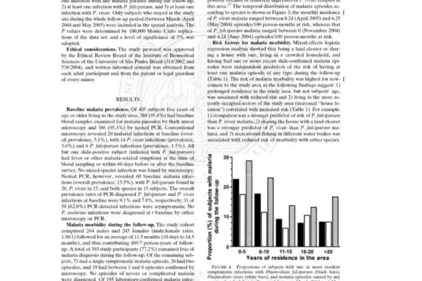 Η Κουλτούρα και οι Προκλήσεις των Ρομά στην Ελλάδα image 1