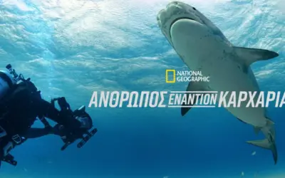 αστέρασ τρίπολησ β εναντίον ηρακλήσ — GR news