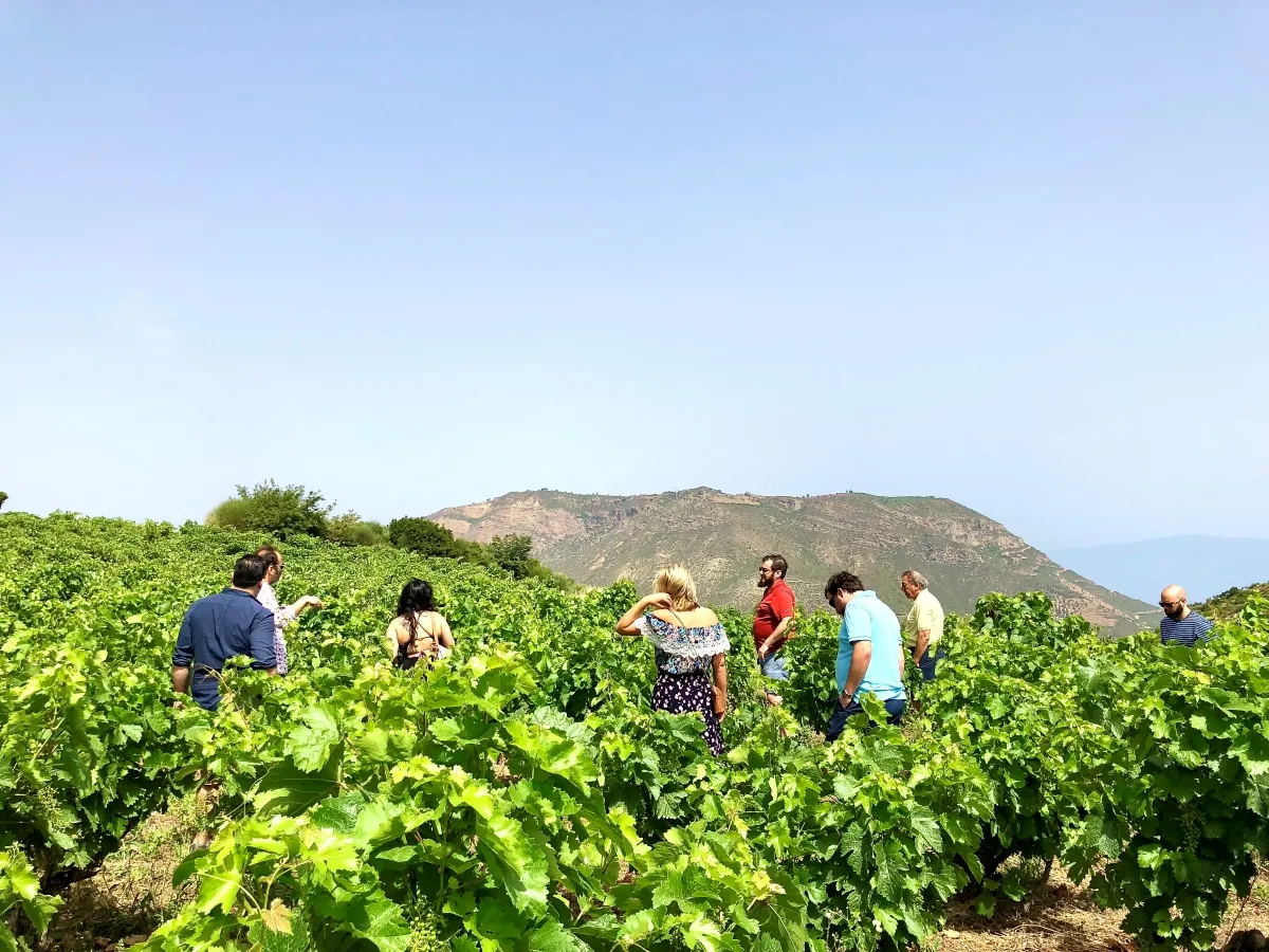 λαρισα — GR news