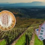 οπεκεπε πληρωμέσ — GR news