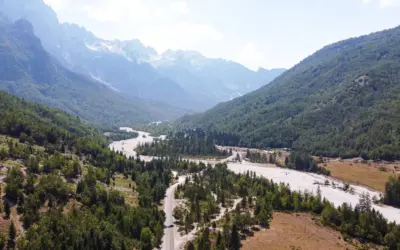 πολωνια αλβανια — GR news