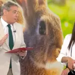 ανθή βούλγαρη — GR news