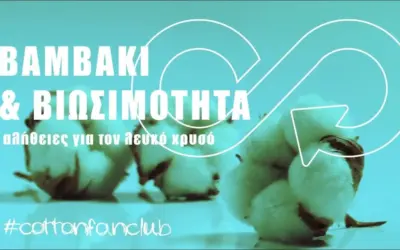 βαμβάκι — GR news