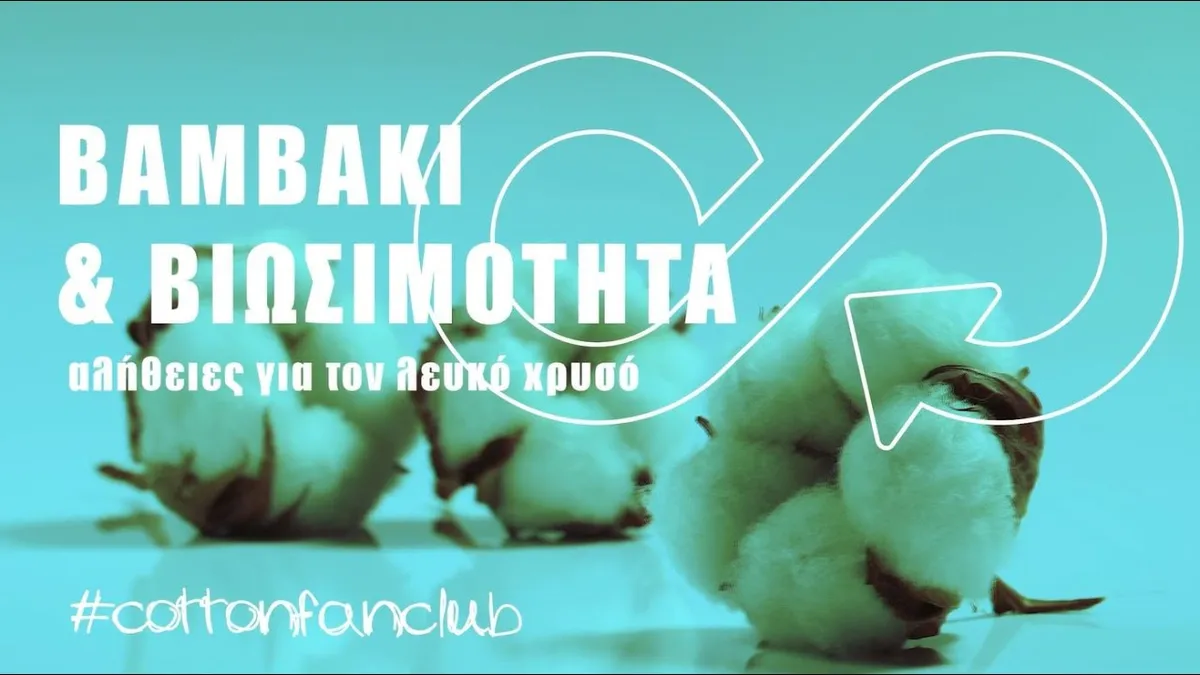 βαμβάκι — GR news
