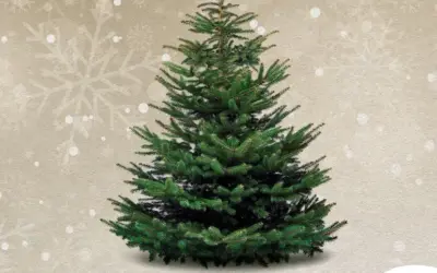 διευθυντήσ — GR news