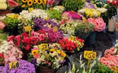 εορτολόγιο — GR news