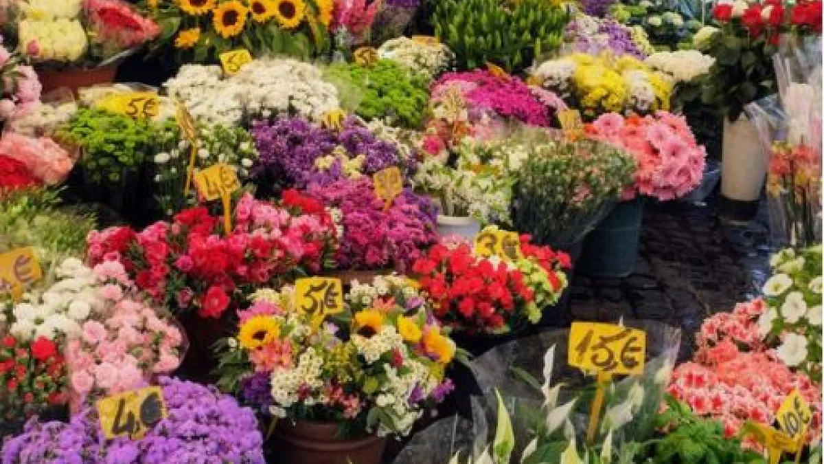 εορτολόγιο — GR news