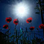 καιροσ πασχα — GR news