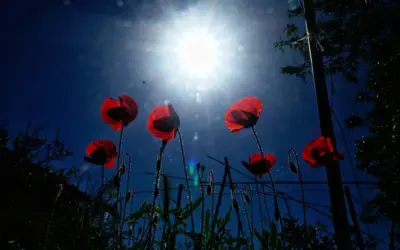 καιροσ πασχα — GR news