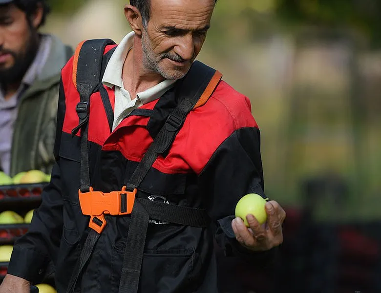 φορολογία — GR news