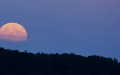 ροζ πανσέληνοσ — GR news