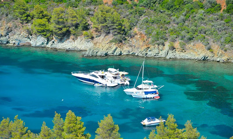 σιθωνία — GR news