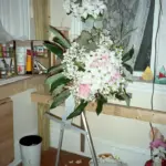 θάνατοσ — GR news