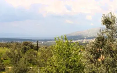 αλιβερι — GR news