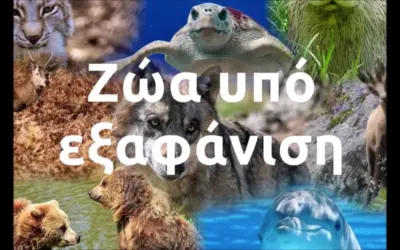 εξαφάνιση — GR news