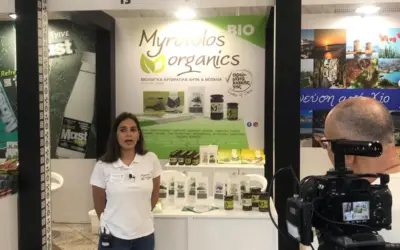 mega news — GR news
